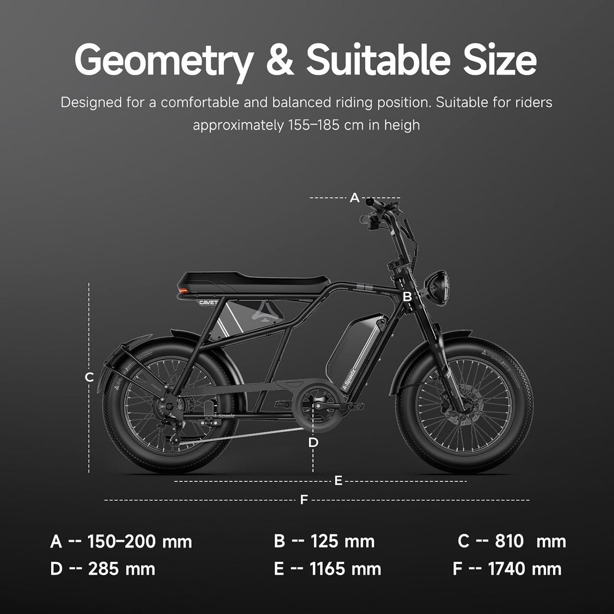 20" Fat Tire Electric Bike for Adults, 48V 15.6Ah Battery, 250W Motor, 7-Speed E-Bike with Dual Suspension